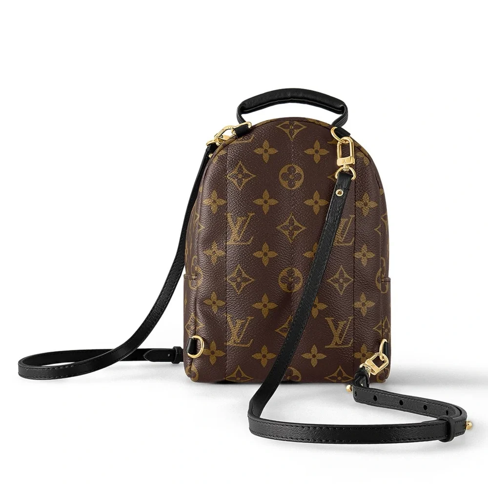 Like NEW!! LV Louis Vuitton PALM MONOGRAM SPRINGS MINI Backpack Bumbag Crossbody - Picture 4 of 16